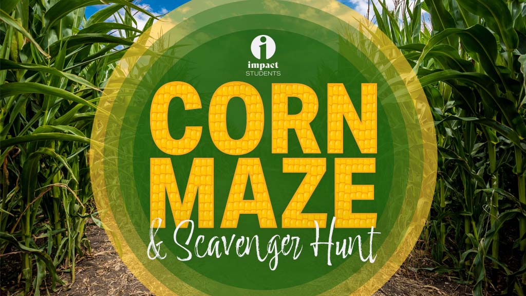 Impact Corn Maze